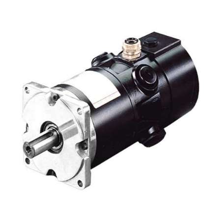 Bild für Kategorie High Performance DC Servomotor - Baureihe RS